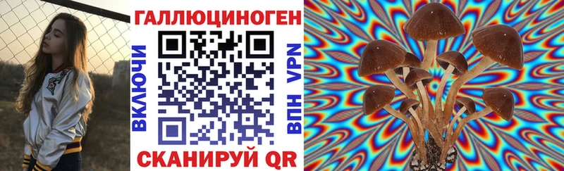 OMG зеркало  Краснослободск  Галлюциногенные грибы Cubensis 